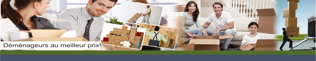 demenagement charlemagne
					